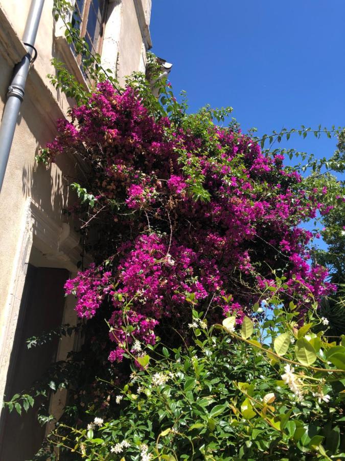Cuxac-dʼAudeL' Ilot Des Iles住宿加早餐旅馆 外观 照片